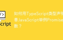 如何用TypeScript类型声明完善JavaScript单例Promise函数？