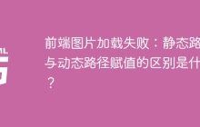 前端图片加载失败：静态路径与动态路径赋值的区别是什么？
