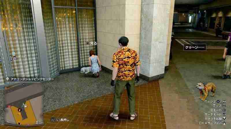 如龙8外传救护动物位置大全一览-如龙8外传救护动物去哪找