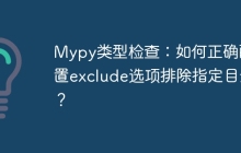 Mypy类型检查:如何正确配置exclude选项排除指定目录?