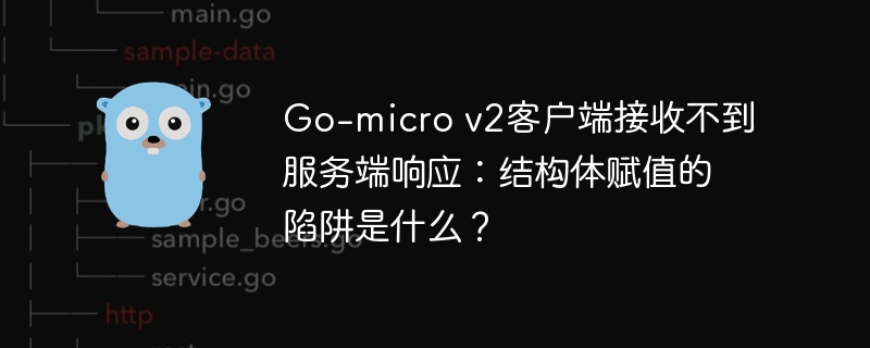 go-micro v2客户端接收不到服务端响应：结构体赋值的陷阱是什么？