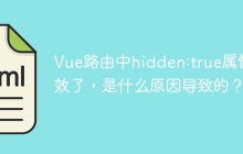 Vue路由中hidden:true属性失效了，是什么原因导致的？