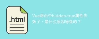 Vue路由中hidden:true属性失效了，是什么原因导致的？