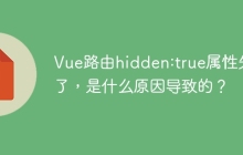 Vue路由hidden:true属性失效了，是什么原因导致的？