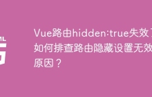 Vue路由hidden:true失效了？如何排查路由隐藏设置无效的原因？