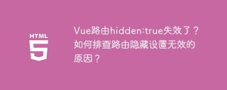 Vue路由hidden:true失效了？如何排查路由隐藏设置无效的原因？