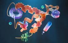 每小时处理80,000个蛋白质，大卫·贝克、微软等发布Seq2Symm，实现蛋白质对称性精准预测