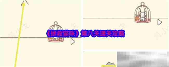 《拯救猫咪》第八关通关攻略