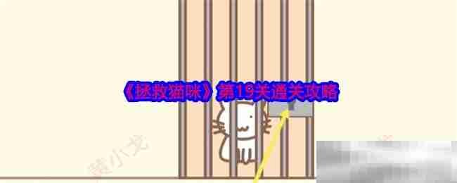 《拯救猫咪》第19关通关攻略