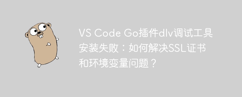 vs code go插件dlv调试工具安装失败：如何解决ssl证书和环境变量问题？