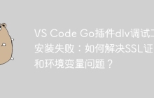 VS Code Go插件dlv调试工具安装失败：如何解决SSL证书和环境变量问题？