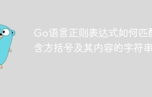 Go语言正则表达式如何匹配包含方括号及其内容的字符串？