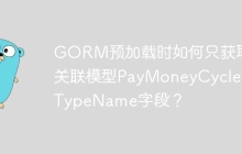 GORM预加载时如何只获取关联模型PayMoneyCycle的TypeName字段？