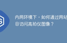 内网环境下，如何通过网站项目访问高拍仪图像？