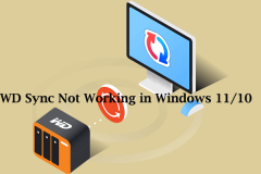WD同步在Windows 11/10中不起作用?现在解决