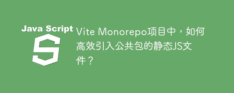 Vite Monorepo项目中，如何高效引入公共包的静态JS文件？