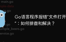 Go语言程序报错“文件打开过多”：如何排查和解决？