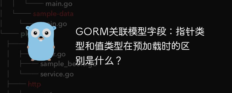 gorm关联模型字段：指针类型和值类型在预加载时的区别是什么？