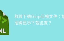 前端下载Gzip压缩文件：如何准确显示下载进度？