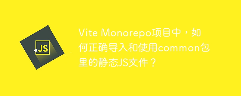 vite monorepo项目中，如何正确导入和使用common包里的静态js文件？