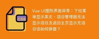 Vue UI图形界面异常：下拉菜单显示英文、项目管理器无法显示项目及返回主页显示无项目该如何排查？
