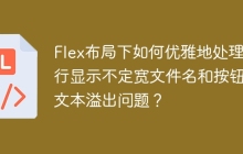 Flex布局下如何优雅地处理单行显示不定宽文件名和按钮的文本溢出问题？