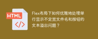 Flex布局下如何优雅地处理单行显示不定宽文件名和按钮的文本溢出问题？