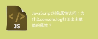 javascript对象属性访问:为什么console.log打印出未赋值的属性?