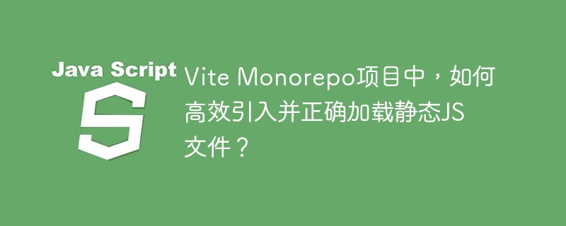vite monorepo项目中，如何高效引入并正确加载静态js文件？