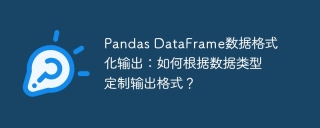 Pandas DataFrame数据格式化输出：如何根据数据类型定制输出格式？