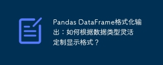 Pandas DataFrame格式化输出：如何根据数据类型灵活定制显示格式？