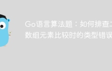 Go语言算法题：如何排查二维数组元素比较时的类型错误？