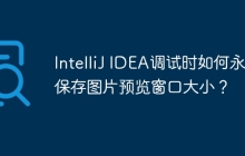 IntelliJ IDEA调试时如何永久保存图片预览窗口大小？