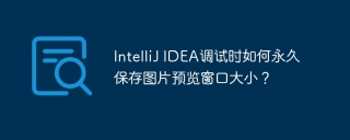 IntelliJ IDEA调试时如何永久保存图片预览窗口大小？