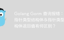 Golang Gorm 查询报错：切片指针类型结构体与指针类型结构体返回值有何区别？