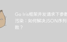 Go Iris框架并发请求下参数污染：如何解决JSON序列化失败？