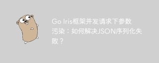 Go Iris框架并发请求下参数污染：如何解决JSON序列化失败？