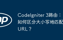 CodeIgniter 3路由：如何区分大小写地匹配URL？