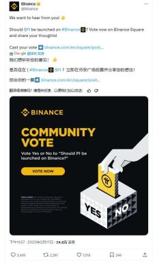 Pi币要上币安？币安的Pi币投票活动开启(附投票地址)