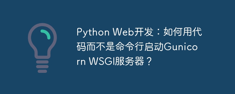 python web开发：如何用代码而不是命令行启动gunicorn wsgi服务器？