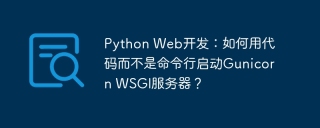 Python Web开发：如何用代码而不是命令行启动Gunicorn WSGI服务器？