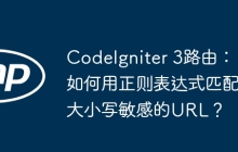 CodeIgniter 3路由：如何用正则表达式匹配大小写敏感的URL？