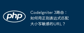 CodeIgniter 3路由：如何用正则表达式匹配大小写敏感的URL？