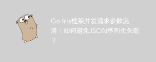 Go Iris框架并发请求参数混淆：如何避免JSON序列化失败？