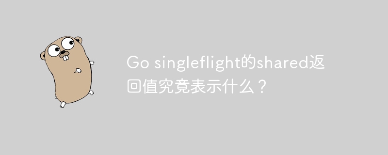 go singleflight的shared返回值究竟表示什么？