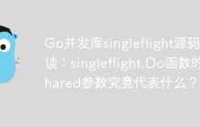 Go并发库singleflight源码解读：singleflight.Do函数的shared参数究竟代表什么？