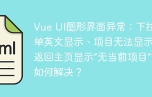 Vue UI图形界面异常：下拉菜单英文显示、项目无法显示及返回主页显示“无当前项目”该如何解决？