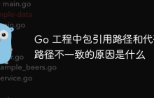 Go 工程中包引用路径和代码路径不一致的原因是什么