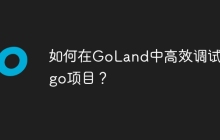 如何在GoLand中高效调试Beego项目？