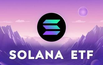 SOL의 ETF를 신청 했습니까? 한 기사에서 Solana ETF의 신청 프로세스에 대해 알아보십시오.
